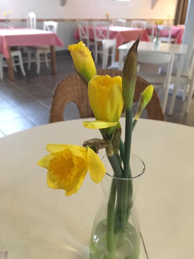 Borrby Froe B&B Eksteriør billede